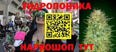 винт Бийск